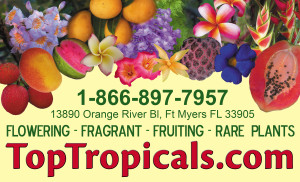 sign_small_04_11_2011b.pdf