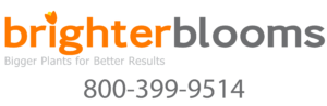 bb-logo-300
