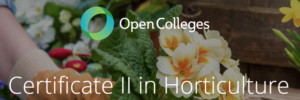 opencolleges