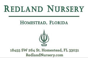 redland