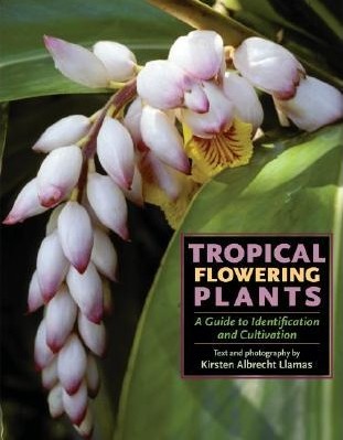 TFP kirsten book cover